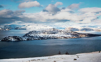 Grateful Dead Royalty Free Images - Skorpa Noklan Island Badderfjorden Norway Royalty-Free Image by Adam Rainoff