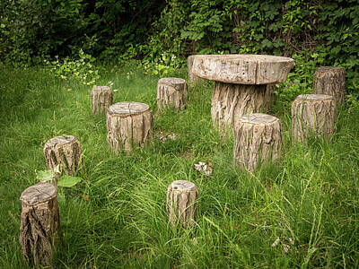 White Roses - Small table and seats made of tree trunks by Stefan Rotter