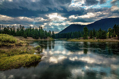 Reptiles Photos - Snake River Revival - Morning in the Grand Tetons by Southern Plains Photography
