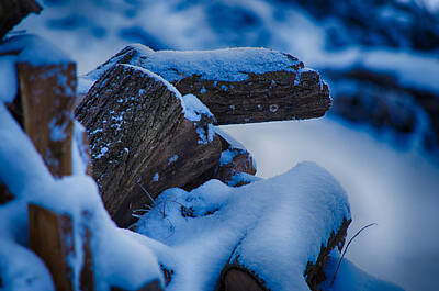 Woodland Animals - Snow and Firewood by John Diebolt