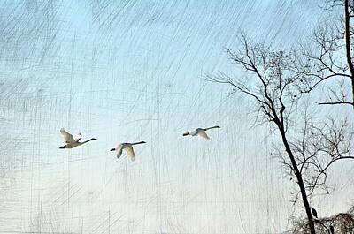 Minimalist Movie Posters - Snow Geese in Flight by Marty Koch