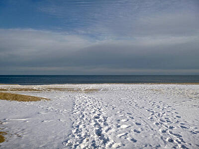 Nailia Schwarz Food Photography - Snow on the Beach 2 by Ellen Paull