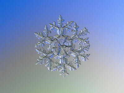 Abstract Stripe Patterns - Snowflake photo - Gardeners dream alternate by Alexey Kljatov