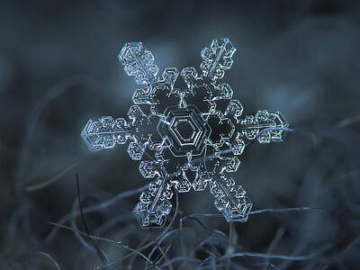 Bath Time - Snowflake photo - Slight asymmetry by Alexey Kljatov