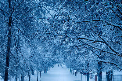 Maps Maps And More Maps - Snowy Avenue at Dusk by John Diebolt