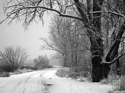 I Want To Believe Posters Rights Managed Images - Snowy Branch over Country Road - Black and White Royalty-Free Image by Carol Groenen