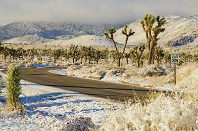 Guns Arms And Weapons - Snowy Road in Desert by Connie Cooper-Edwards