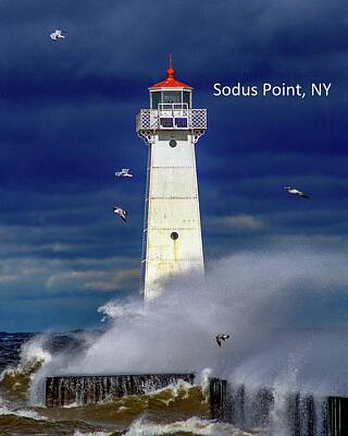Happy Anniversary - Sodus Point Lighthouse 2 by Mary Courtney