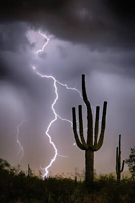 James Bo Insogna Rights Managed Images - Sonoran Desert Monsoon Storming Royalty-Free Image by James BO Insogna