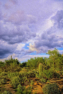 Mark Myhaver Rights Managed Images - Sonoran Desert op14 Royalty-Free Image by Mark Myhaver