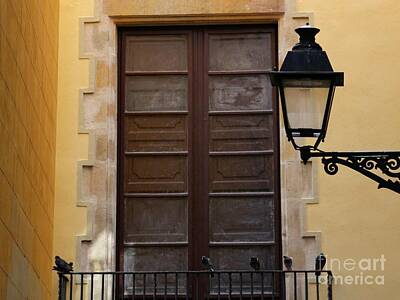 Pbs Kids - Spanish Door with Lamp by Carol Groenen