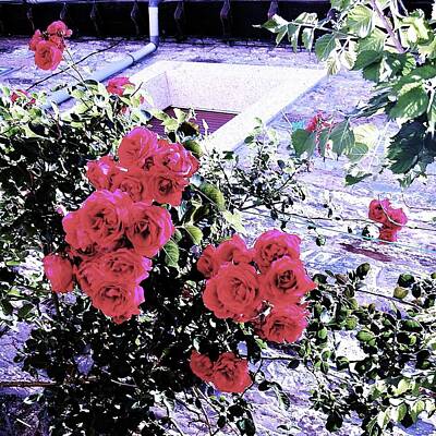 Keith Richards - Spanish Roses by HweeYen Ong