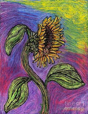 Sunflowers Rights Managed Images - Spanish Sunflower Royalty-Free Image by Sarah Loft