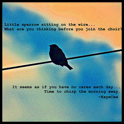 Black And White Rock And Roll Photographs - Sparrow On The Wire- Fine Art And Poetry by KayeCee Spain