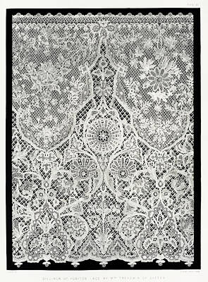 Winter Wonderland - Specimen of Honiton lace from the Industrial arts of the Nineteenth Century by Vincent Monozlay