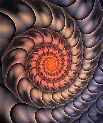 Steampunk Digital Art - Spiral Shell by Anastasiya Malakhova