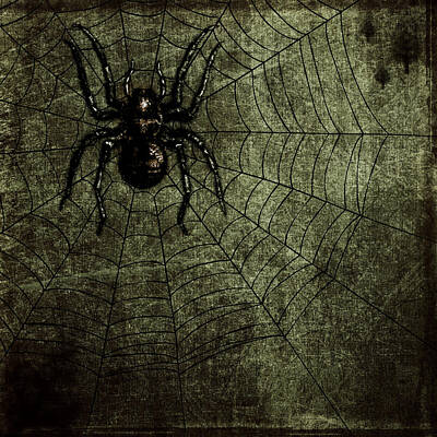 Spiral Staircases - Spooky Spider by Brandi Fitzgerald
