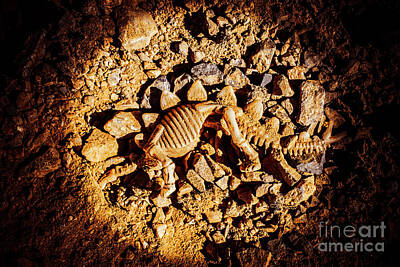 Animals Photos - Spotlight on a extinct stegosaurus by Jorgo Photography