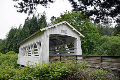 Snails And Slugs - Spring Creek Covered Bridge Chiloquin Oregon 2 by Barbara Snyder