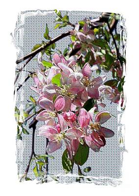Abstract Flowers Digital Art - Spring is Melting Away by Carol Groenen