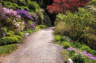 Coffee - Spring Path. Old Rock Alpine Garden At Pruhonice Park 1 by Jenny Rainbow
