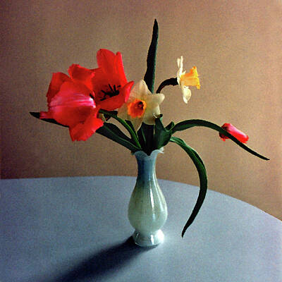 Floral Digital Art - Spring Still Life by Steve Karol