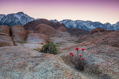 Easter Egg Stories For Children Royalty Free Images - Spring Sunset at Alabama Hills Royalty-Free Image by Javier Flores