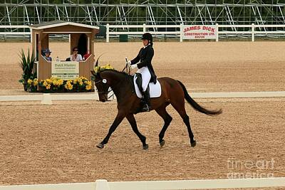 Animals Photos - SpringDressage13 by Life With Horses