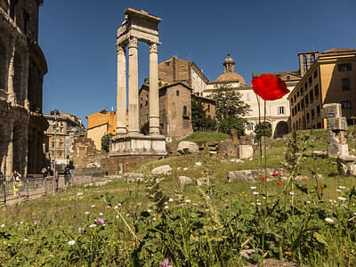 Ocean Diving - Springtime In Rome Flowers In Front Of Theater Marcello 5 by Daniele Chiarottini