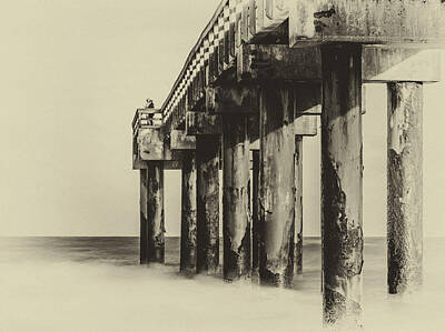 Portraits Royalty-Free and Rights-Managed Images - St Augustine Pier by Simmie Reagor