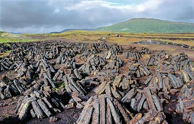 Staff Picks Rosemary Obrien - Stacked peat turf drying. Connemara, Ireland by David Lyons