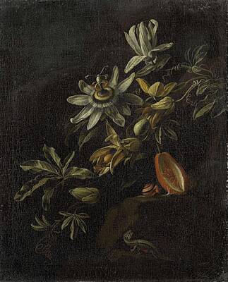 Still Life Paintings - Still life with passion flowers, Elias van den Broeck, 1670 - 1708 by Celestial Images