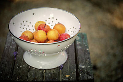 Still Life Royalty-Free and Rights-Managed Images - Still Life with Yellow Plums  by Nailia Schwarz