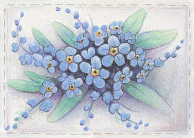 Florals Drawings - Stitched Forget-Me-Nots by Amy S Turner