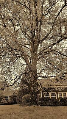 Black And White Flower Photography - Stony Brook Crochet Tree Sepia by Rob Hans