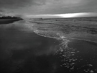 Childrens Room Animal Art - Storm over Sunrise at Myrtle Beach in Black and White by Kelly Hazel