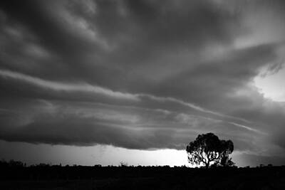 Banana Leaves - Storm passing over solitary tree in the desert by Keiran Lusk