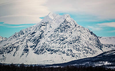 Red Foxes - Stormheimfjellet Mountain Tromso Norway by Adam Rainoff
