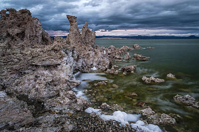 Mammals Royalty-Free and Rights-Managed Images - Stormy Mono Lake by Cat Connor