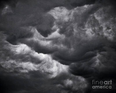 Mother And Child Animals - Stormy Skies by Al Powell Photography USA