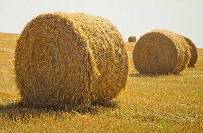 Legendary And Mythic Creatures Rights Managed Images - Straw Bales Royalty-Free Image by Lionel F Stevenson