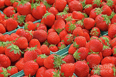 Spot Of Tea Royalty Free Images - Strawberries Jersey Fresh Royalty-Free Image by Regina Geoghan