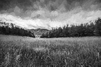 Mountain Digital Art - Stuck in the Field IV by Jon Glaser