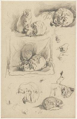 Comics Paintings - Studies of cats, Guillaume Anne van der Brugghen, 1821 - 1891 by Guillaume Anne van der Brugghen