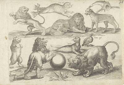 Comics Paintings - Study sheet with drawing examples various animals, Michael Snijders, after Adriaen Collaert, 1610 -  by Adriaen Collaert