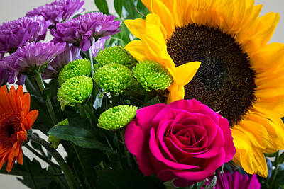Michael Greaves Rights Managed Images - Summer Flowers Royalty-Free Image by Michael Greaves