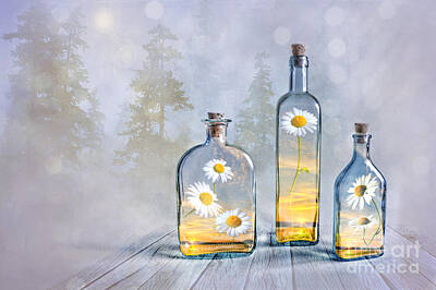 Still Life Royalty-Free and Rights-Managed Images - Summer in a bottle by Veikko Suikkanen