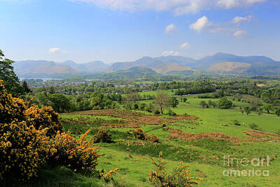 Landscapes Royalty-Free and Rights-Managed Images - Summer view to the Derwentwater fells, Keswick town by Dave Porter