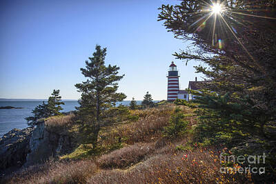 Let It Snow Rights Managed Images - Sun Over West Quoddy Head Lighthouse Royalty-Free Image by Alana Ranney