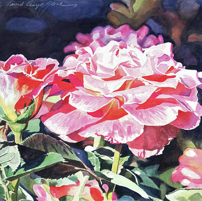 Roses Paintings - Sun Rose by David Lloyd Glover